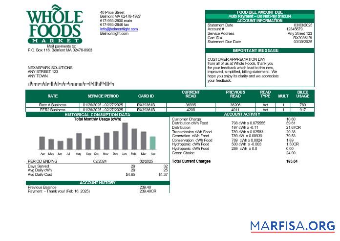 Realistic USA Whole Foods Market business utility bill template in Word and PDF formats